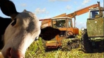 На сільське господарство в Україні припадає майже третина викидів парникових газів