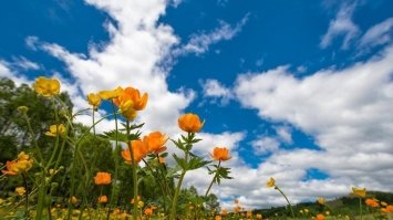 На вихідні в Україні очікується комфортна погода