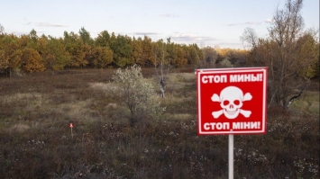  На Волині загинули троє чоловіків, підірвавшись у лісі на снаряді 