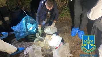 Нарколабораторію у лісосмузі викрили дубенські правоохоронці