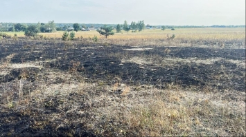 Палила сухе зілля й згоріла разом з ним