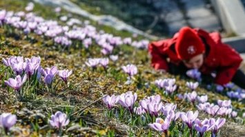 Що святкують 1 березня: традиції, заборони і прикмети