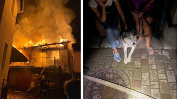 Пес почав битися у двері: у Рівному тварина врятувала від пожежі господарів