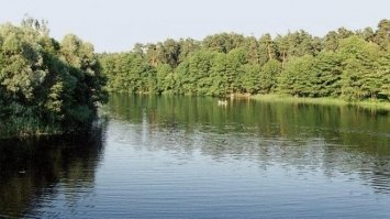 Поліцейські розповіли, чому втопився костопільчанин