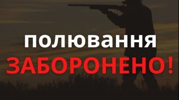 Полювання на Рівненщині заборонено