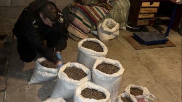  Понад пів тонни бурштину  на мільйон гривень вилучили у скупщиків