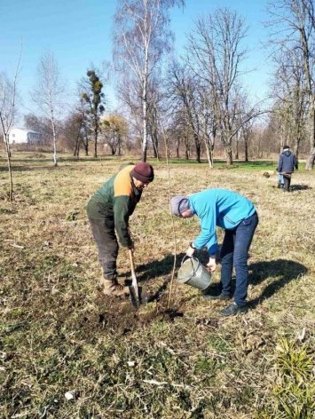 Рівненщина долучається до міжнародного проєкту озеленення «Greening Рlanet»