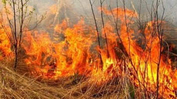 Рятувальники загасили шість пожеж