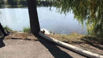 Рятують рибу