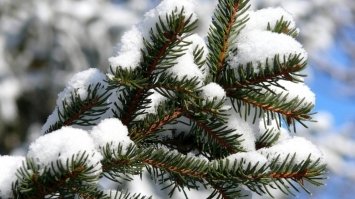 Синоптики обіцяють похолодання у Різдвяну ніч