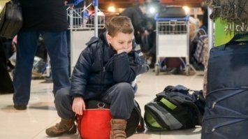Скільки біженців планують повернутися після війни — опитування