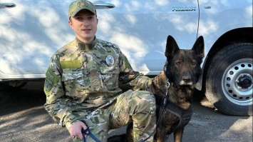 Службовий собака розшукав зниклого на Рівненщині хлопчика
