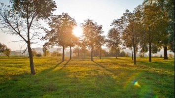 Сьогодні в Україні посилиться спека
