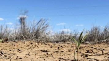 Світ чекає глобальний дефіцит води до 2030 року