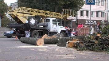 Світлофор на Петра Моглили вже встановлюють