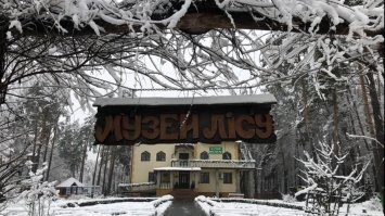 У мережі з`явилися фото засніженого 