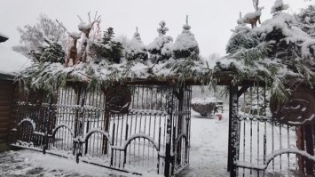 У мережі з`явилися фото засніженого зоопарку Рівного