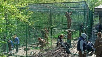 У Рівненському зоопарку розпочали будувати нові вольєри для тварин