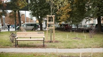 У Рівному облаштували кишеньковий парк на розі місцевих вулиць (ФОТО)