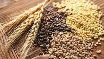 У Рівному судитимуть посадовицю за продаж зерна за заниженою ціною