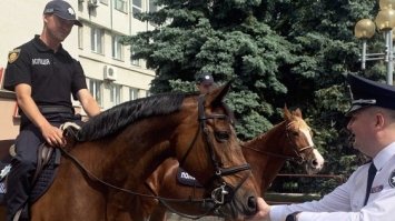 У Рівному відмовились від створення кінної поліції