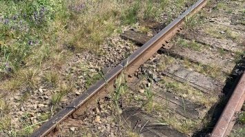 У Сарнах чоловік крав залізничні колії