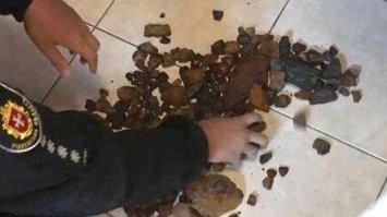 У жителя Вараського району поліцейські вилучили мотопомпу з обладнанням та бурштин-сирець (ФОТО)