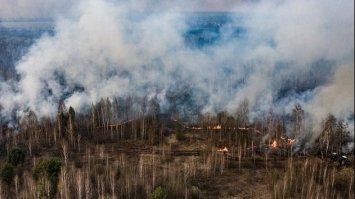 У зоні відчуження в районі ЧАЕС через бойові дії горить понад 10 тисяч гектарів лісів