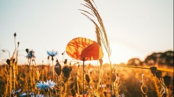 Україну накриють сильні дощі