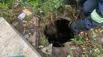 В Рівному жінка провалилася в каналізацію та провела там всю ніч