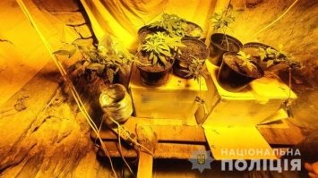 В Тайкурах дядько здав племінника