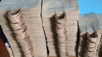 В Україні почали виготовляти пакети з опалого листя