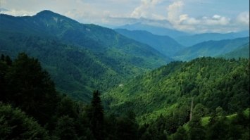 В Україні незабаром стартує програма 
