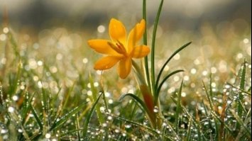 В Україну йде антициклон: де очікується найспекотніша погода