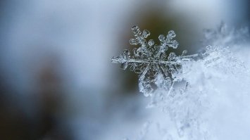 Весна буде затяжною, а літо знову здивує: з`явився новий прогноз на 2022 рік