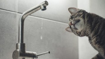 Відомо, де у Рівному завтра буде відсутнє водопостачання