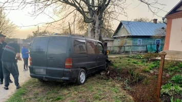 В’їхав у дерево: жінка загинула, чоловік у лікарні