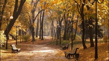 Вітер, туман і несміливе потепління - якої погоди чекати днями на Рівненщині
