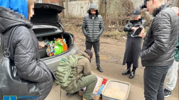 Завозила прекурсори з Єгипту: ховала їх в упаковках з-під порошку
