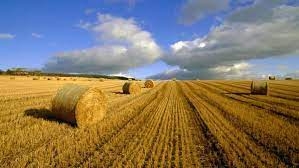Завтра в Україні скасовується мораторій на ринок землі, – Шмигаль